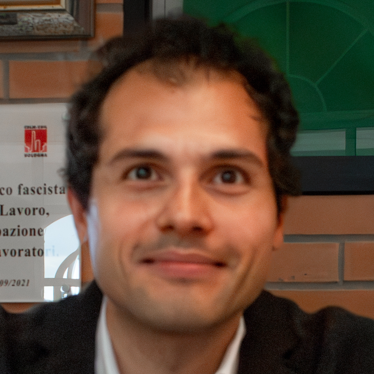 Domenico Bauleo
